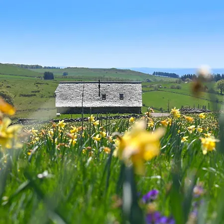 Prázdninový dům Buron De Leon, En Plein Coeur De L Aubrac Laguiole
