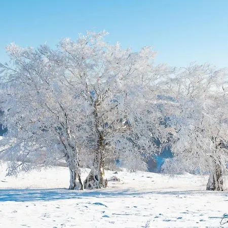 펜션 Buron De Leon, En Plein Coeur De L Aubrac 라귀올르