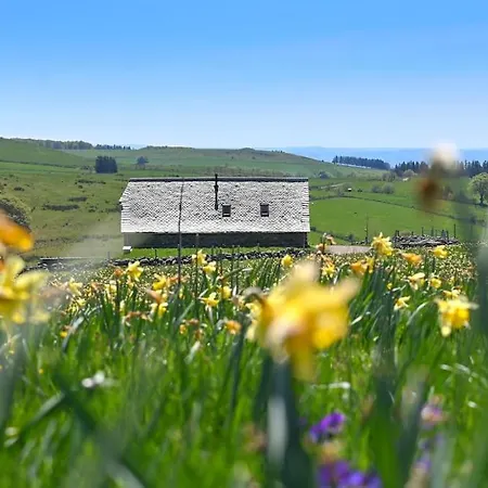 Buron De Leon, En Plein Coeur De L Aubrac 펜션