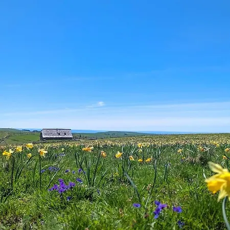 펜션 Buron De Leon, En Plein Coeur De L Aubrac