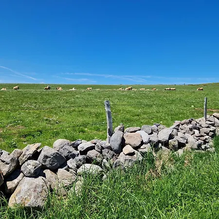 Buron De Léon, En Plein Cœur De L Aubrac *